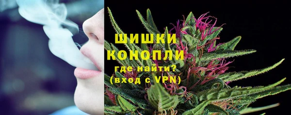 mdpv Белокуриха
