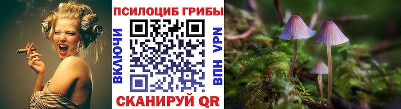 Галлюциногенные грибы мицелий  наркотики  Курильск 